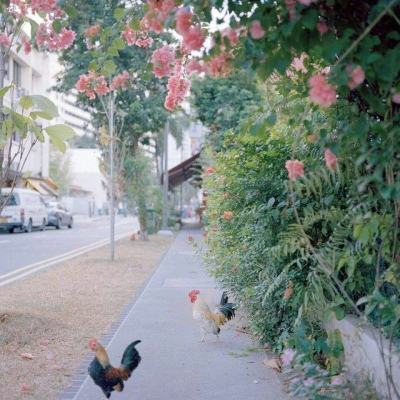 巴博体育官网安卓下载