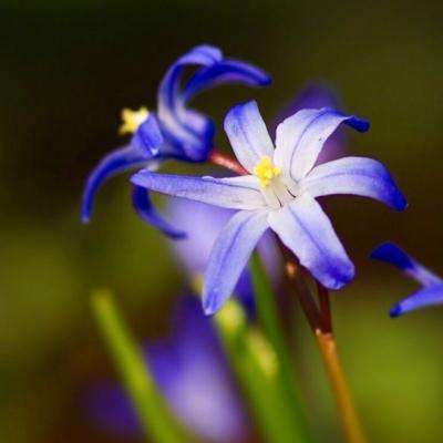 天博体育官方平台入口手机app下载