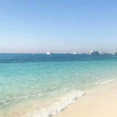 星空体育APPapp下载