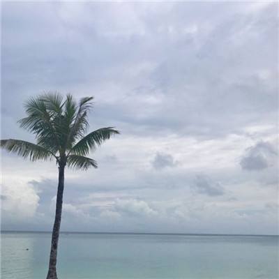 星空线上官网app下载截图