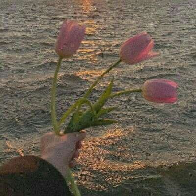 Kaiyun·开云体育下载手机版