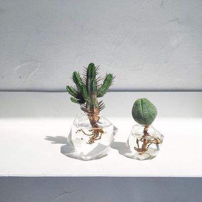 半岛网页版中国官方网站登录